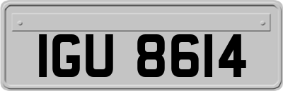 IGU8614