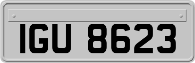IGU8623