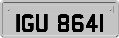 IGU8641