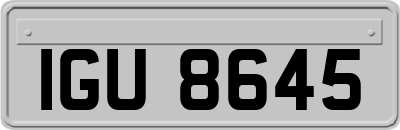 IGU8645