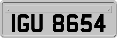 IGU8654