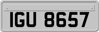 IGU8657
