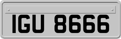 IGU8666