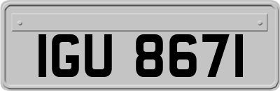 IGU8671