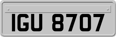 IGU8707