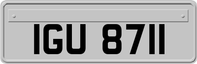 IGU8711
