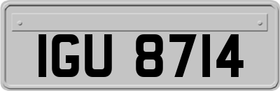 IGU8714