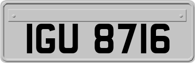 IGU8716