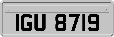 IGU8719