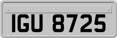 IGU8725