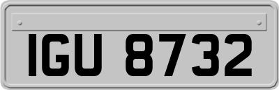 IGU8732
