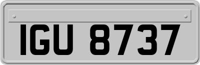 IGU8737