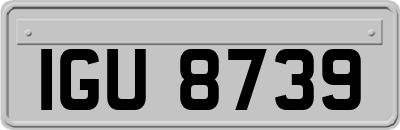 IGU8739
