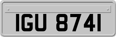 IGU8741