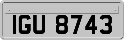 IGU8743