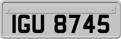 IGU8745