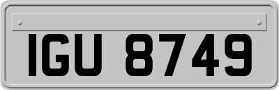 IGU8749