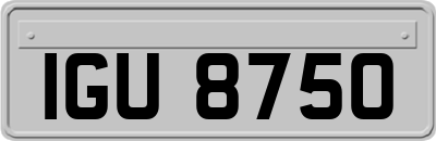 IGU8750