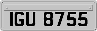 IGU8755