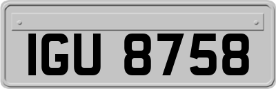 IGU8758