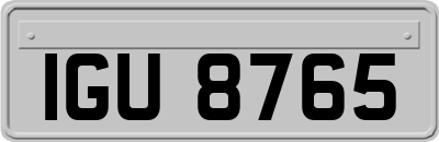 IGU8765