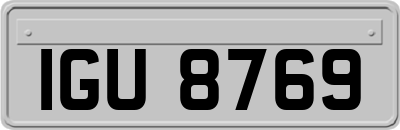 IGU8769