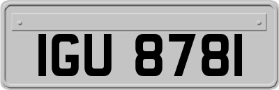 IGU8781