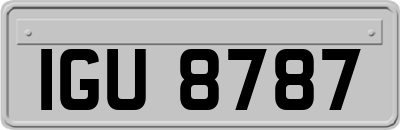 IGU8787
