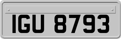 IGU8793