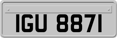 IGU8871