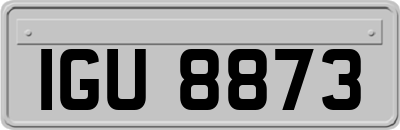 IGU8873