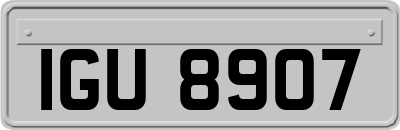 IGU8907