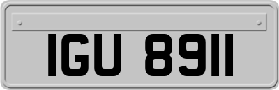 IGU8911
