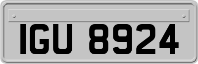 IGU8924