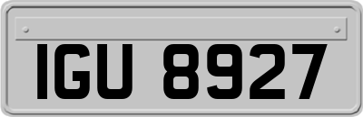 IGU8927