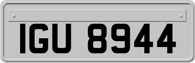 IGU8944