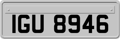 IGU8946