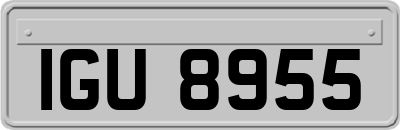 IGU8955