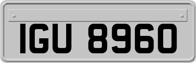 IGU8960