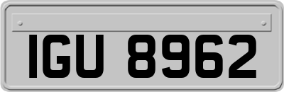 IGU8962
