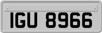 IGU8966
