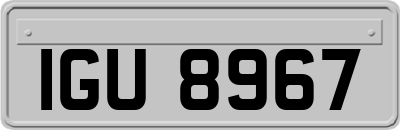 IGU8967