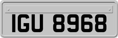 IGU8968