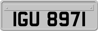 IGU8971