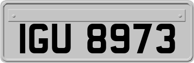 IGU8973