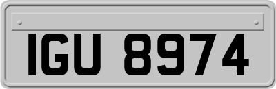 IGU8974