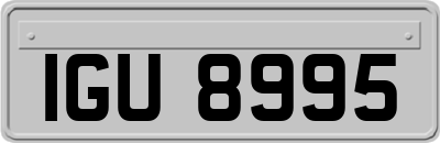 IGU8995