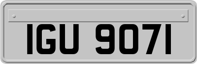 IGU9071