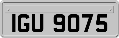 IGU9075
