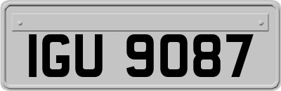 IGU9087